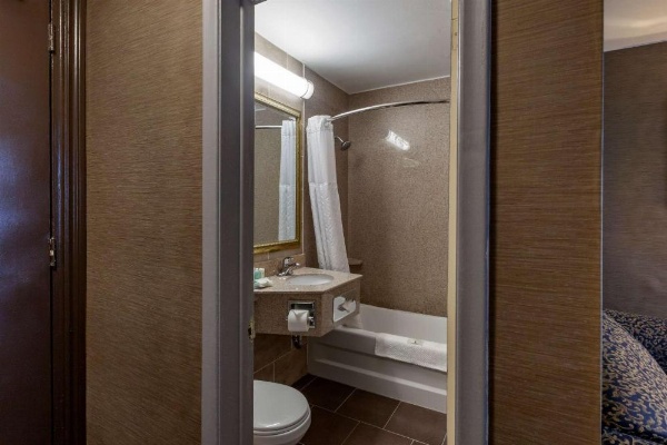 Quality Inn Toronto Airport image 27